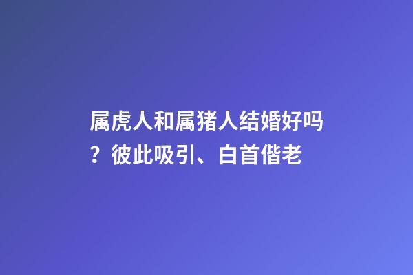 属虎人和属猪人结婚好吗？彼此吸引、白首偕老