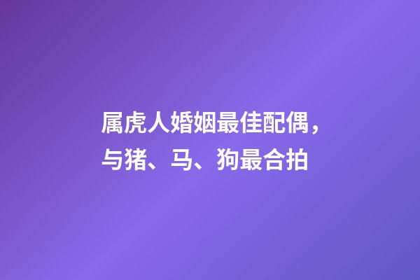 属虎人婚姻最佳配偶，与猪、马、狗最合拍