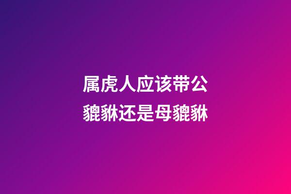 属虎人应该带公貔貅还是母貔貅