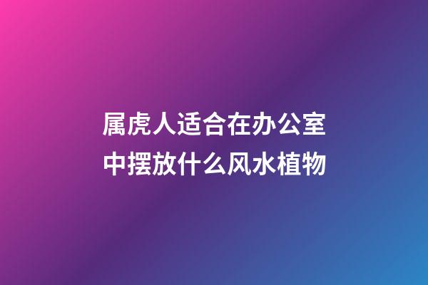 属虎人适合在办公室中摆放什么风水植物