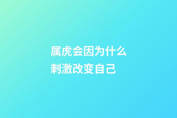 属虎会因为什么刺激改变自己