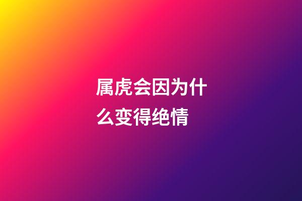 属虎会因为什么变得绝情