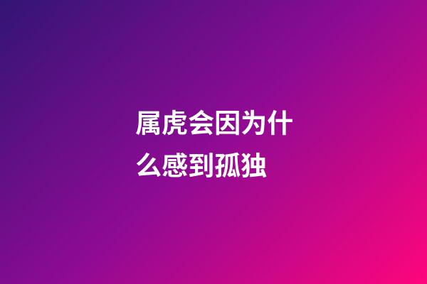 属虎会因为什么感到孤独