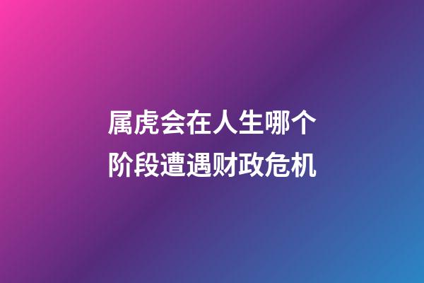 属虎会在人生哪个阶段遭遇财政危机