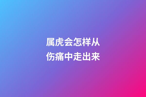 属虎会怎样从伤痛中走出来