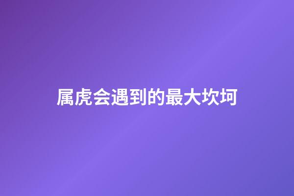 属虎会遇到的最大坎坷