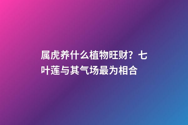 属虎养什么植物旺财？七叶莲与其气场最为相合