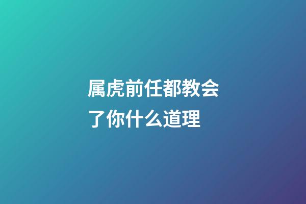 属虎前任都教会了你什么道理