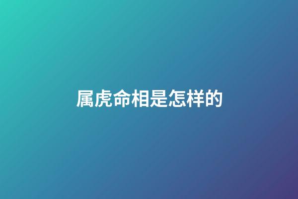 属虎命相是怎样的