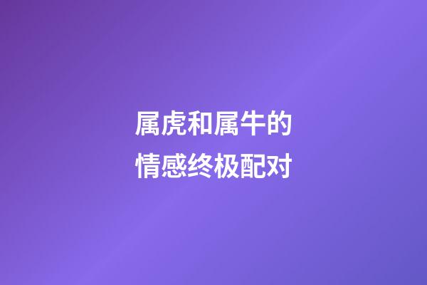 属虎和属牛的情感终极配对
