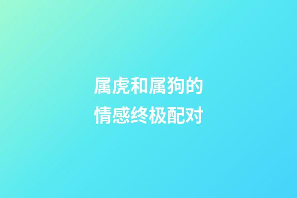 属虎和属狗的情感终极配对