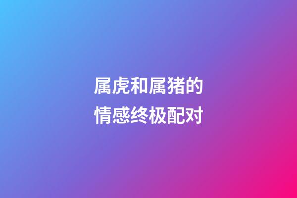 属虎和属猪的情感终极配对