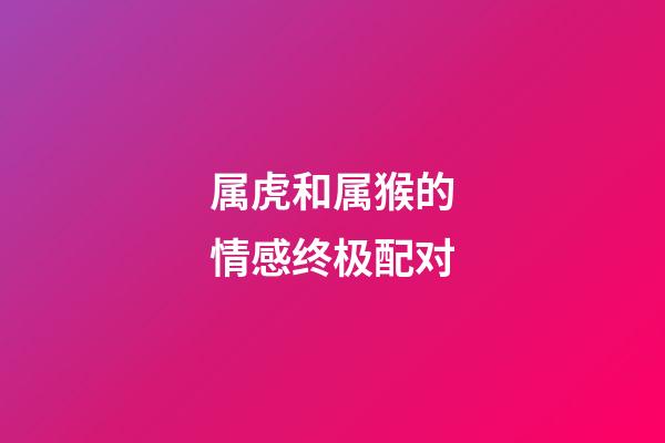 属虎和属猴的情感终极配对