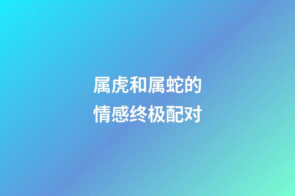 属虎和属蛇的情感终极配对