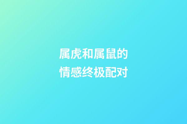 属虎和属鼠的情感终极配对