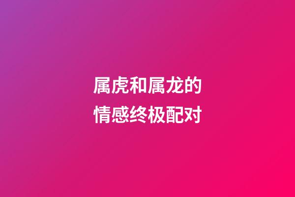 属虎和属龙的情感终极配对