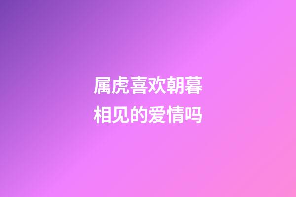 属虎喜欢朝暮相见的爱情吗