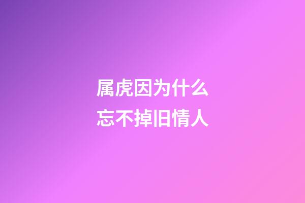 属虎因为什么忘不掉旧情人