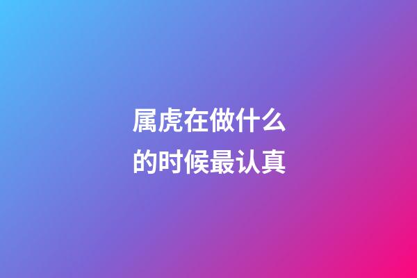 属虎在做什么的时候最认真