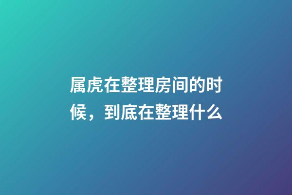 属虎在整理房间的时候，到底在整理什么