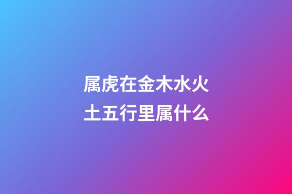 属虎在金木水火土五行里属什么
