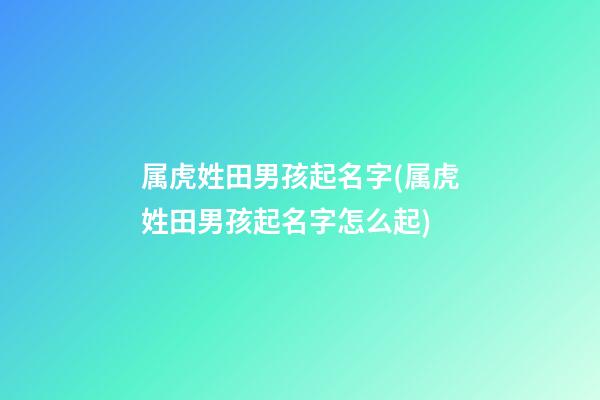 属虎姓田男孩起名字(属虎姓田男孩起名字怎么起)