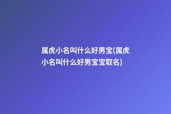 属虎小名叫什么好男宝(属虎小名叫什么好男宝宝取名)