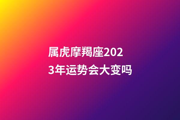 属虎摩羯座2023年运势会大变吗