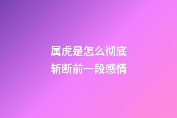 属虎是怎么彻底斩断前一段感情