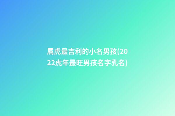 属虎最吉利的小名男孩(2022虎年最旺男孩名字乳名)