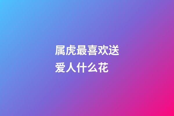 属虎最喜欢送爱人什么花