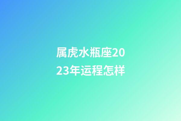 属虎水瓶座2023年运程怎样-第1张-星座运势-玄机派