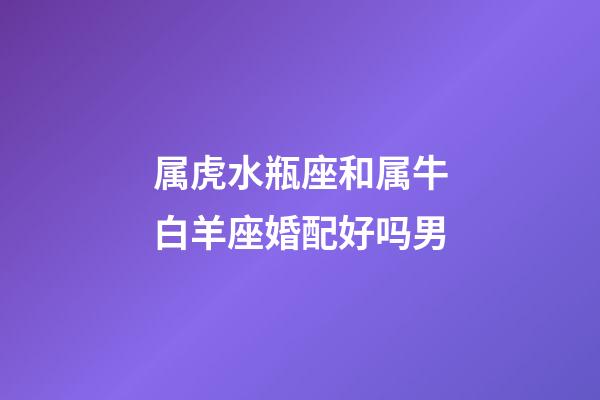 属虎水瓶座和属牛白羊座婚配好吗男-第1张-星座运势-玄机派