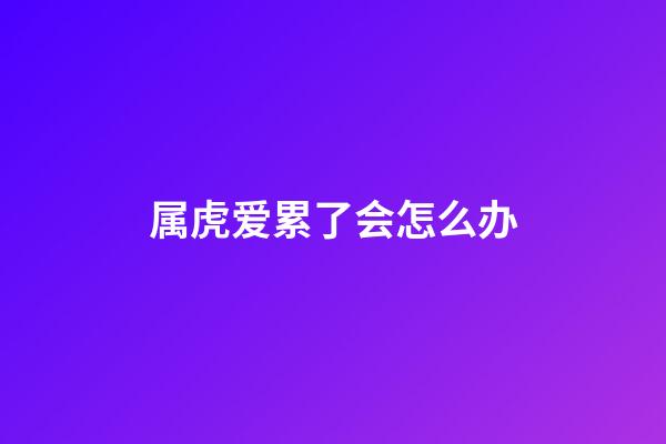 属虎爱累了会怎么办