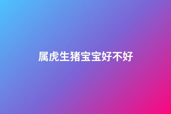 属虎生猪宝宝好不好