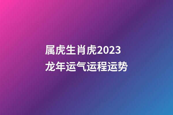 属虎生肖虎2023龙年运气运程运势