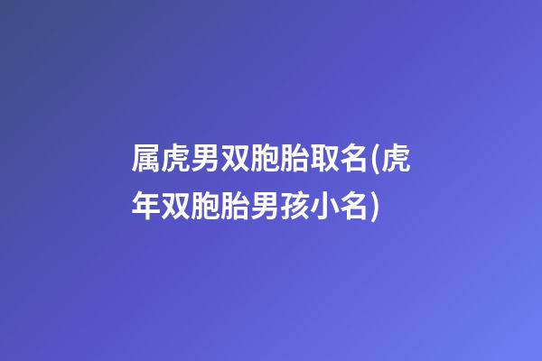 属虎男双胞胎取名(虎年双胞胎男孩小名)