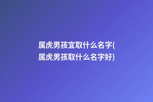 属虎男孩宜取什么名字(属虎男孩取什么名字好)