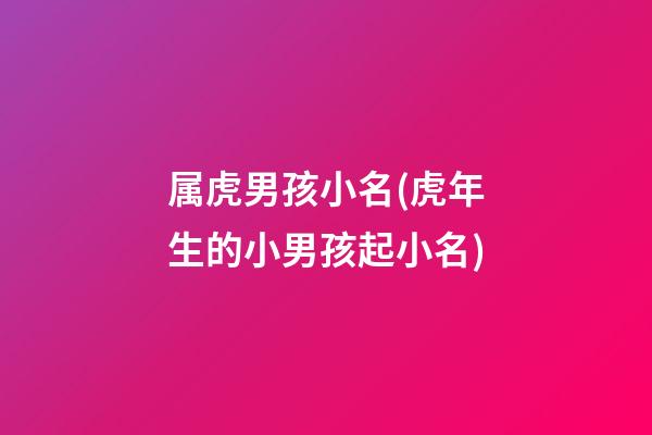属虎男孩小名(虎年生的小男孩起小名)
