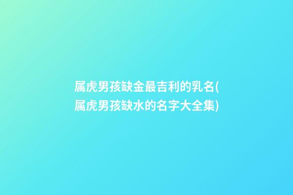 属虎男孩缺金最吉利的乳名(属虎男孩缺水的名字大全集)