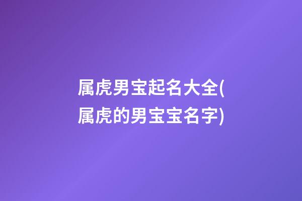 属虎男宝起名大全(属虎的男宝宝名字)