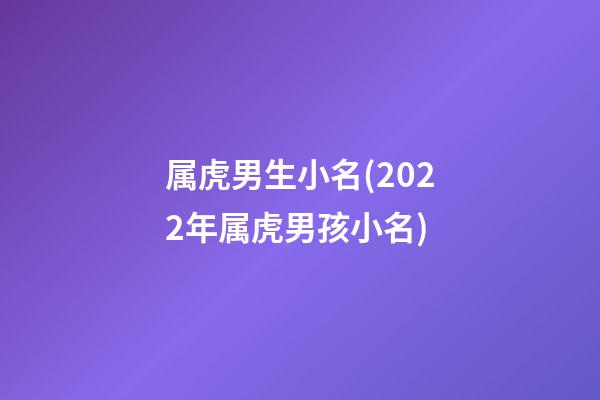 属虎男生小名(2022年属虎男孩小名)