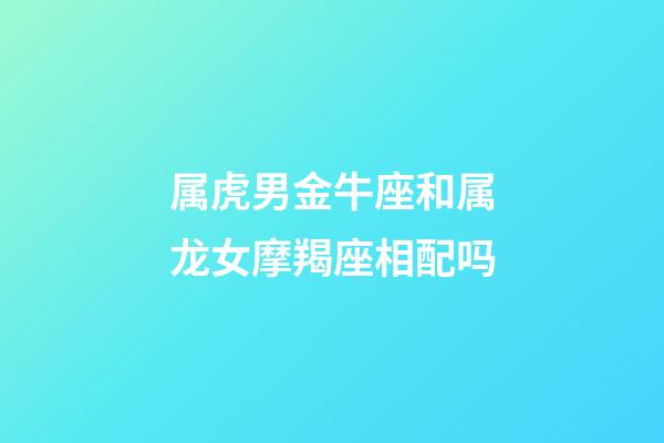 属虎男金牛座和属龙女摩羯座相配吗-第1张-星座运势-玄机派