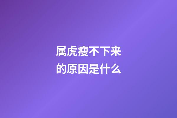 属虎瘦不下来的原因是什么