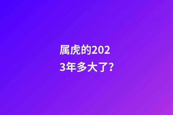 属虎的2023年多大了？