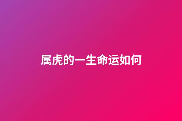 属虎的一生命运如何