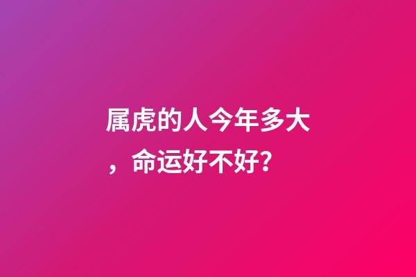 属虎的人今年多大，命运好不好？