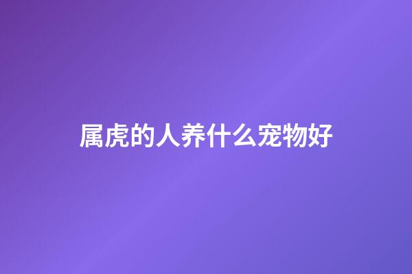 属虎的人养什么宠物好