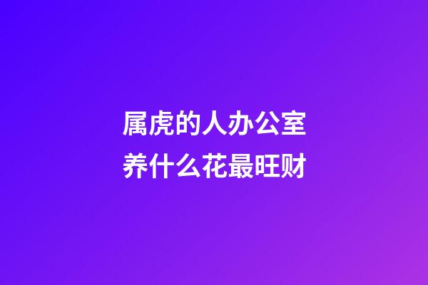 属虎的人办公室养什么花最旺财