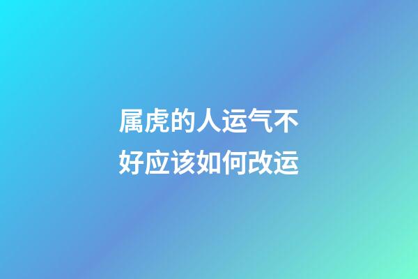 属虎的人运气不好应该如何改运